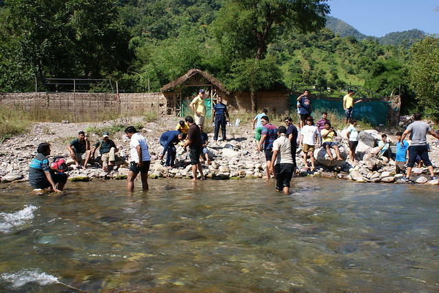 DSC06247