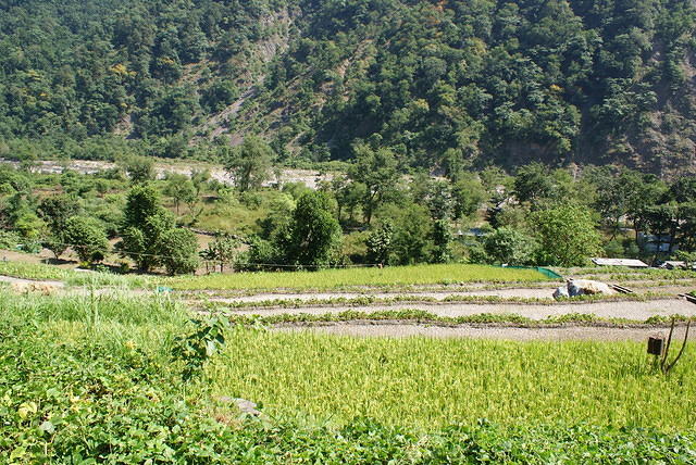 DSC06302
