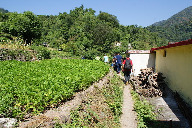 DSC06304