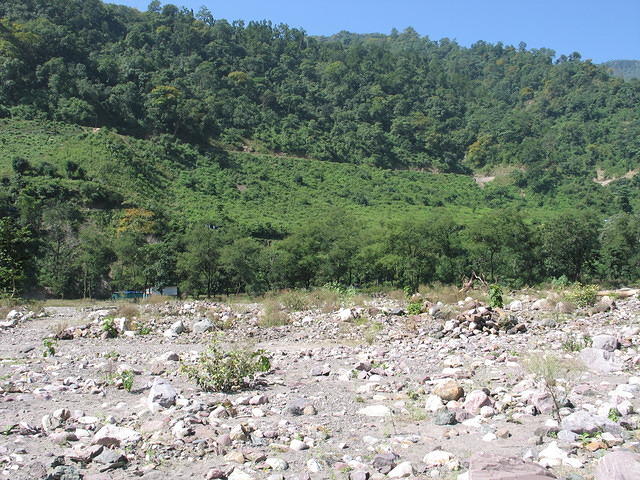 IMG 3592