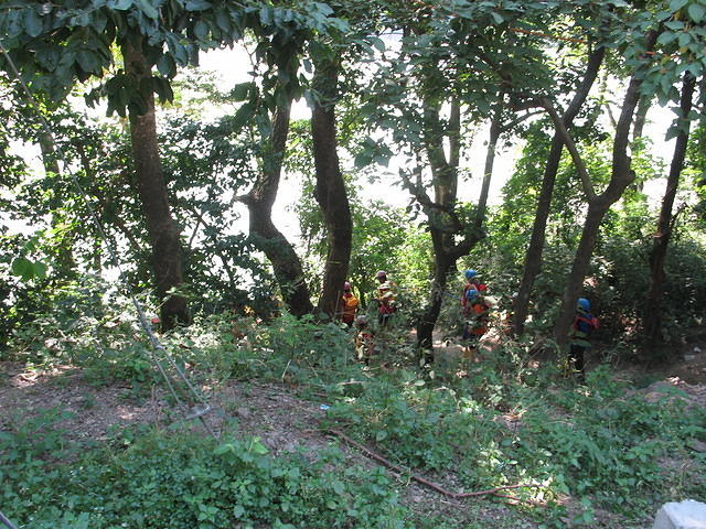 IMG 3758