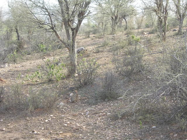 DSCN0153