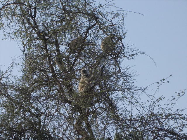DSCN0155