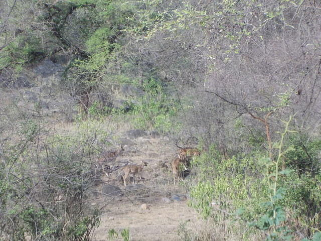 DSCN0157