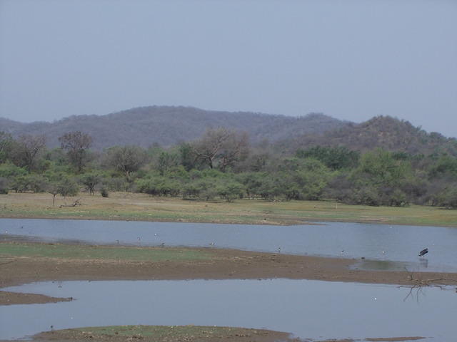 DSCN0181