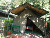 DSC03828