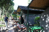 DSC06181
