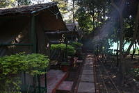 DSC06182