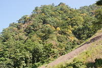 DSC06237