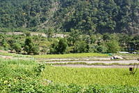 DSC06302
