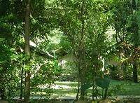 DSCF0617