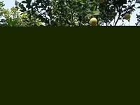DSCF0622