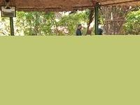 DSCF0628