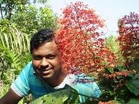 DSCF0677