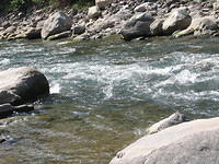 IMG 3594