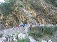 IMG 3667