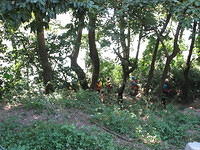 IMG 3758