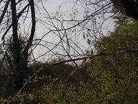 DSCN0150