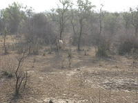 DSCN0152