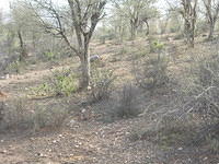 DSCN0153