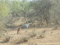 DSCN0154
