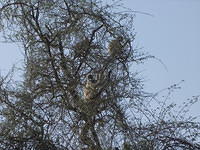 DSCN0155