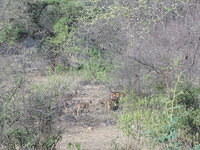 DSCN0157
