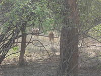 DSCN0158