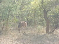 DSCN0159