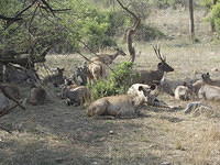 DSCN0160